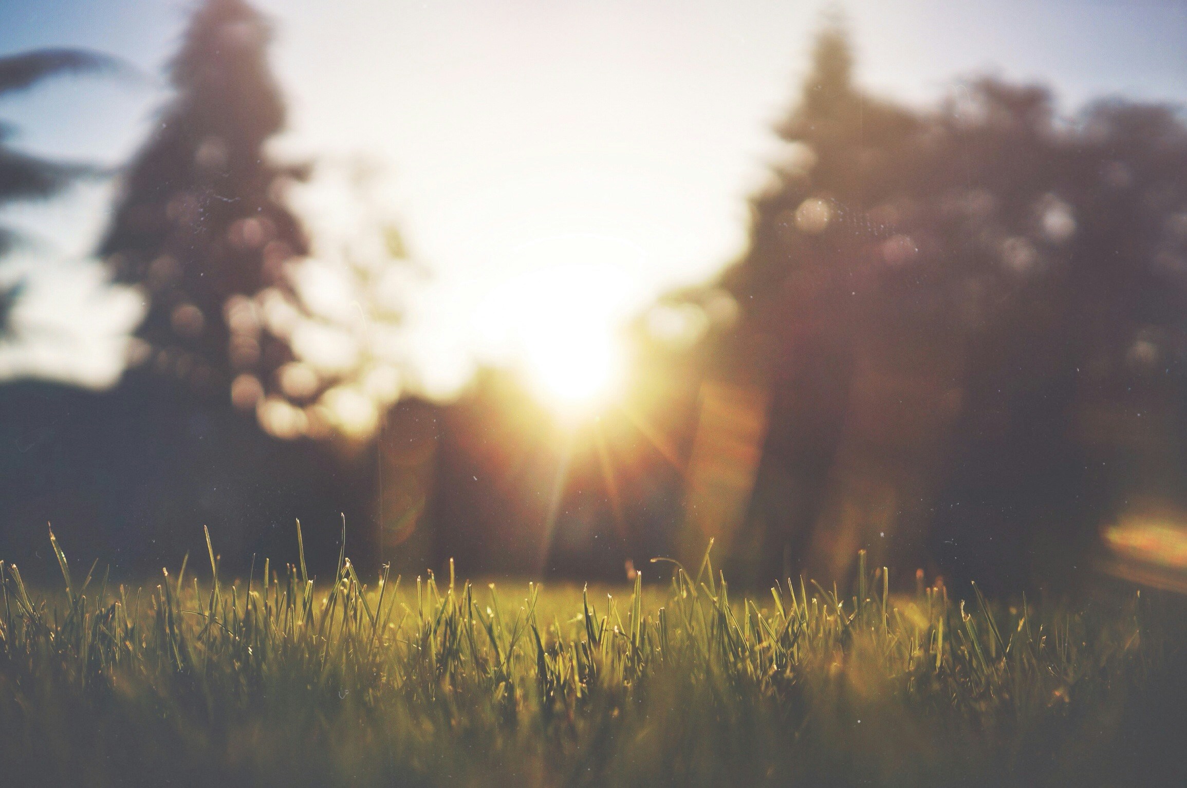 Sommer